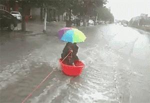 河北传统美食制作,驴肉火烧制作详细步骤指南