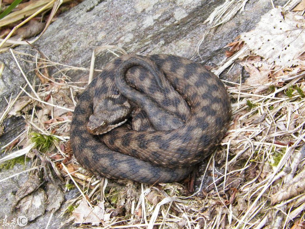 吉林,魅力无限的土地