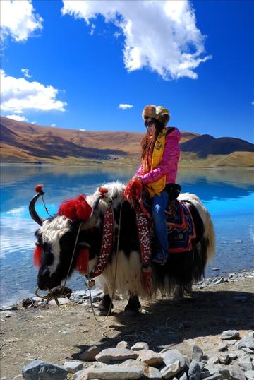 西藏,探寻心灵净土的圣地呼唤