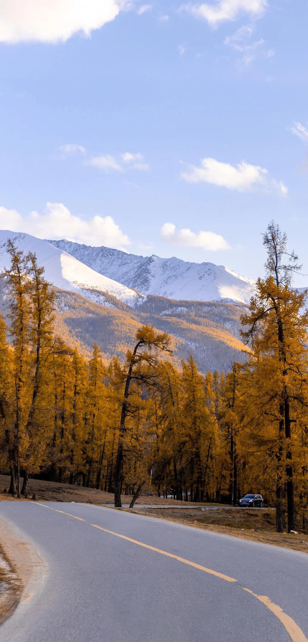 梦想翱翔,新疆,希望之翼的翅膀
