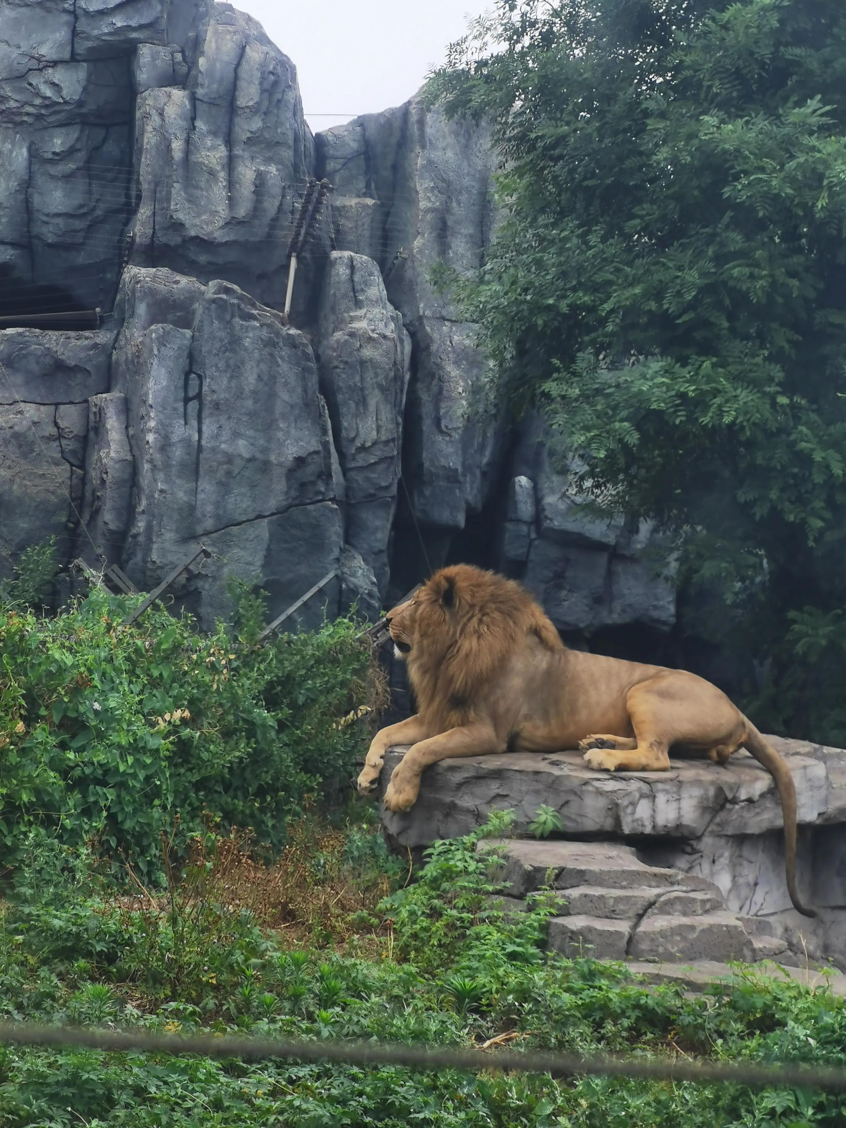 探寻唐山古韵，小巷深处风情盎然