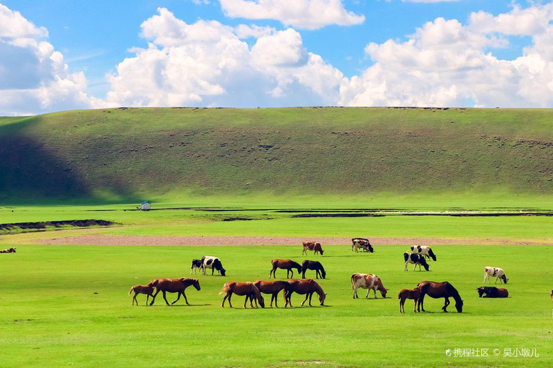 呼伦贝尔,草原之珠,自然魅力的展现